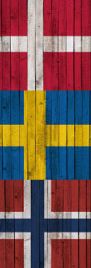 Aäsgard, le poêle scandinave
